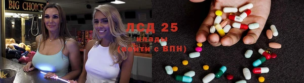 дживик Алзамай